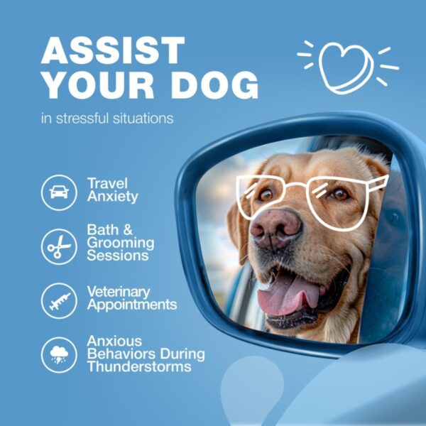 Hemp Calming Chews for Dogs Anxiety Dog Calming Treats with Melatonin Valerian Root Chamomile Extract Vitamin B Complex Canine - Image 4