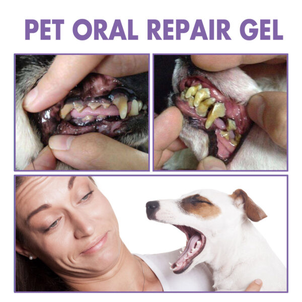 Pet Oral Repair Gel Deep Cleaning Dog Cat Teeth Stain Whitening Teeth Tartar Removing Bad Breath Oral Cleaning Care - Image 4