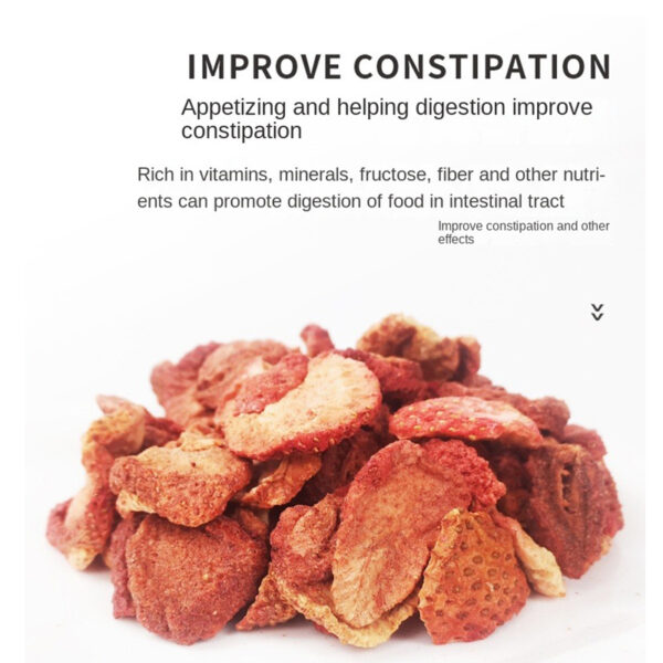 Freeze-dried strawberry grains 60g rabbit chinchilla guinea pig hamster snacks dried strawberry for digestion - Image 3