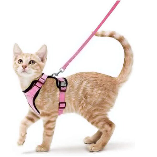 Cat Harness and Leash for Walking, Escape Proof Soft Adjustable Vest Harnesses for Cats, EasyControl - Image 14