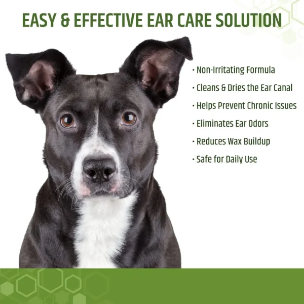 Ear cleaning pet supplies, pet ear cleaning wipes, ear care finger cots, ear mite removal for cats and dogs - Image 2