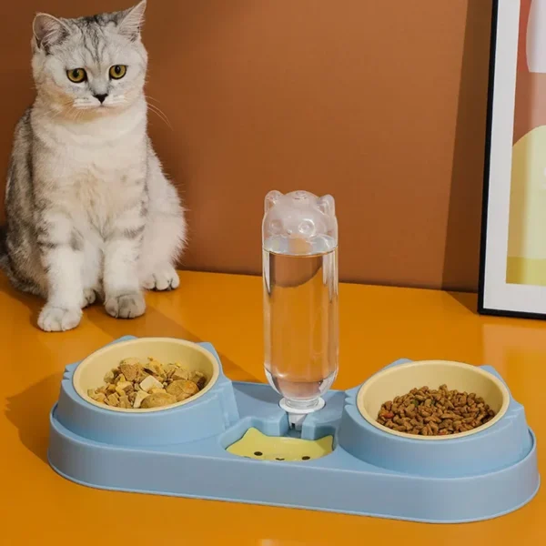 Double Dog Cat Bowls with Water Dispenser Tilted Cat Food Dishes for Indoor Pet Easily Detached Wet and Dry Food Bowl Set - Image 2