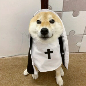 1pc Hallow Funny Pet Nun Costume for Small Cats & Dogs Cross Design for Halloween Parties & Photo Ops Adjustable Pet Nun Costume