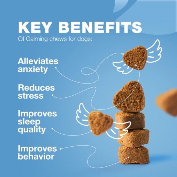 Hemp Calming Chews for Dogs Anxiety Dog Calming Treats with Melatonin Valerian Root Chamomile Extract Vitamin B Complex Canine - Image 3
