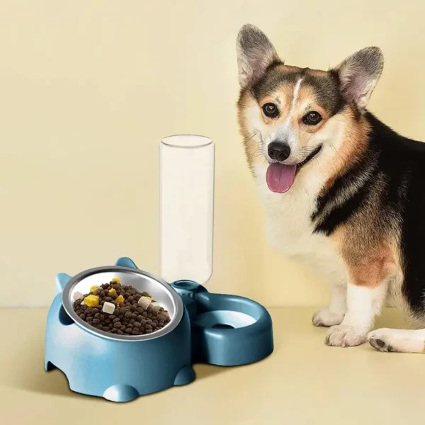 Cat Food And Water Bowl Set Adjustable Tilted Food Water Bowl Automatic Water Dispenser Bottle No Spill Pet Feeder For Cats Dogs - Image 4