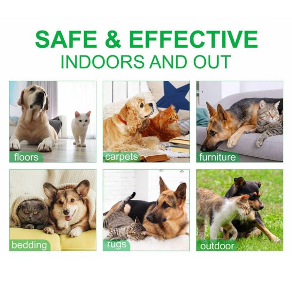 60ml Pet Pest Spray Pet Dog Anti-flea Mites Ticks Drops Kitten Pest Treatment Treatment Flea Puppy Kitten Puppy Spray M2n1 - Image 6