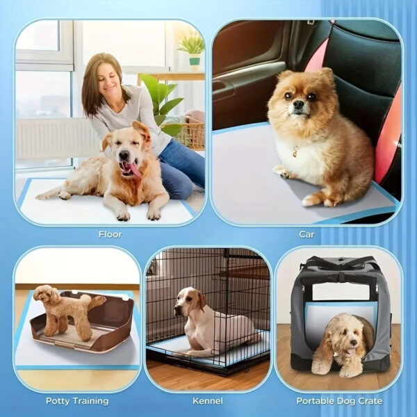 100/50/40PCS Dog Pee Pads with Leak-Proof Quick-Dry Design for Potty Training Absorbent Puppy Diapers Disposable Dogs Supplies - Image 6