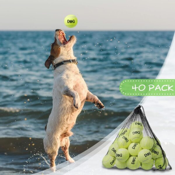 40 Pack Tennis Balls Dog Toys Bulk 2.5 Inch with Carry Bags, Easy Catching Interactive Fetch for Pet Puppy Small Medium Large Do - Image 6