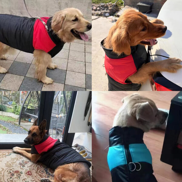 Waterproof Pet Dog Coat Vest For Small Large Dogs Winter Warm Puppy Clothes with D-ring Kitten Costume Golden Retriever Jacket - Image 5