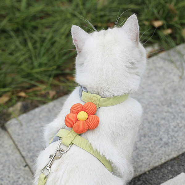 Cat Harness and Leash Sets Adjustable Dog Harness for Small Dog Leash Breashable Pet Harness Out Walking Dog Strap Cat Accessory - Image 7