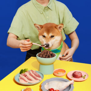 A bag of fresh soft food double flavor dog food meat food puppy dog teddy small dogs senior dogs