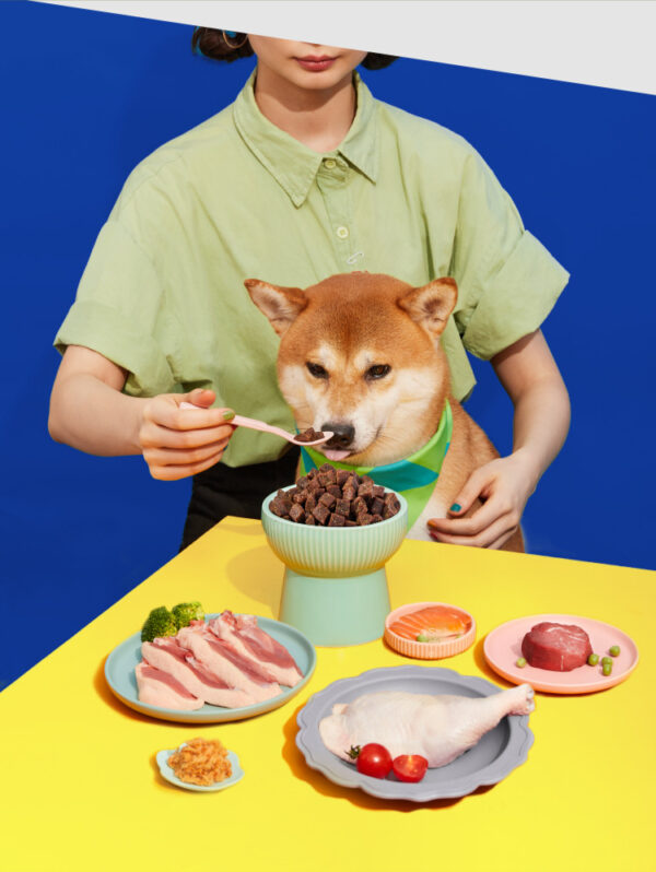 A bag of fresh soft food double flavor dog food meat food puppy dog teddy small dogs senior dogs