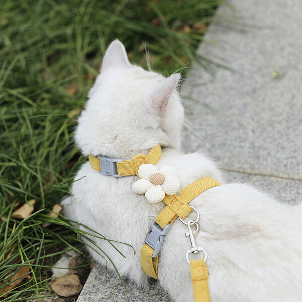 Cat Harness and Leash Sets Adjustable Dog Harness for Small Dog Leash Breashable Pet Harness Out Walking Dog Strap Cat Accessory - Image 4