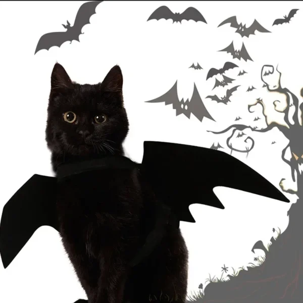 Creative Cute Pet Clothes Black Bat Wings Carrier Costume Cosplay Cat and Dog Party Pet Supplies Cosplay - Image 3