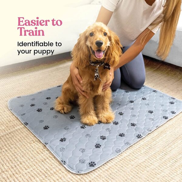 Dog Urine Pads Washable Reusable Anti Slip Pet Pee Pad Puppy Training Pad Pet Bed Urine Mat for Car Seat Cover Pet Supplies - Image 7