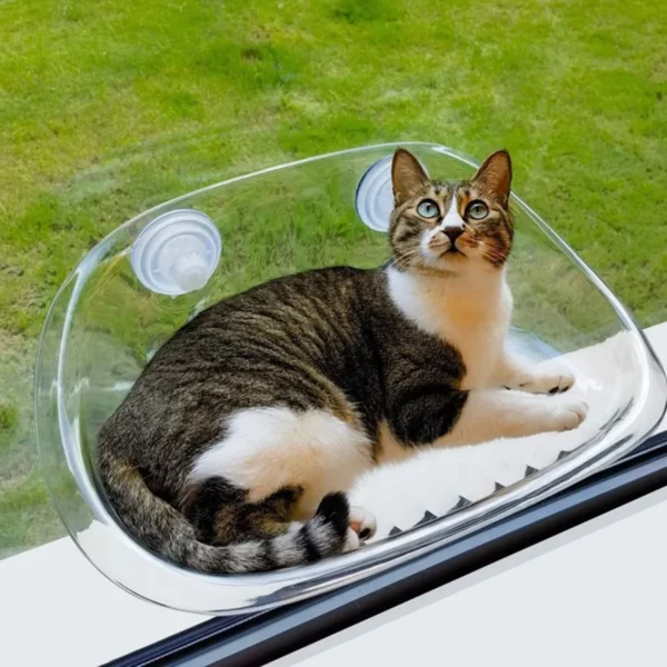 Transparent Window Open Cat Nest with Suction Cup Suspension for Easy Installation FourSeason Indoor Sunbathing Cat Bed and Cli