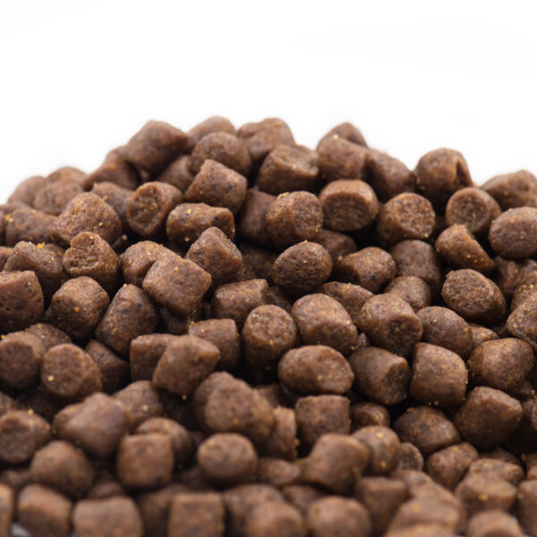 80% Fresh Meat Dog Food for Senior Dogs, High Protein, Precise Nutrition, Chicken Dog Food - Image 3
