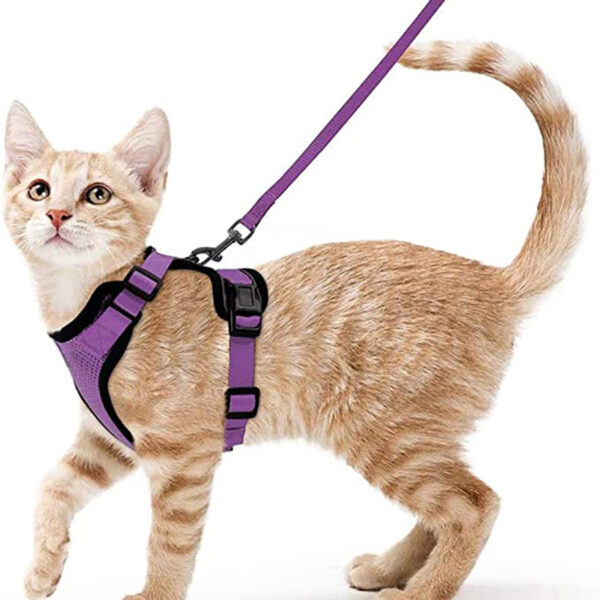 Cat Harness and Leash for Walking, Escape Proof Soft Adjustable Vest Harnesses for Cats, EasyControl - Image 13