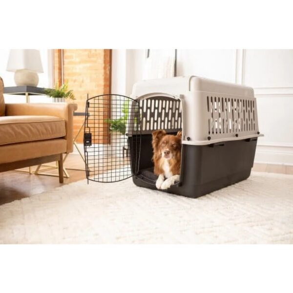 Vibrant Life Pet Kennel Medium 36" Dog Crate, Plastic Travel Pet Carrier for Pets 50-70 lb, Grey - Image 3