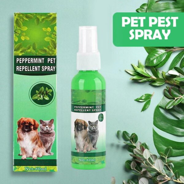 60ml Pet Pest Spray Pet Dog Anti-flea Mites Ticks Drops Kitten Pest Treatment Treatment Flea Puppy Kitten Puppy Spray M2n1 - Image 2