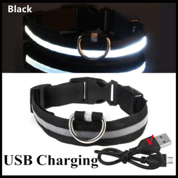 3 Modes Dog Luminous Charge Collar Led Usb Cat Dogs Collars Detachable Night Led Glow Dog Loss Prevention Collar Pet Accessories - Image 11