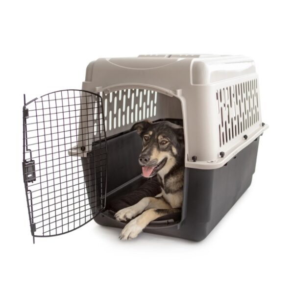 Vibrant Life Pet Kennel Medium 36" Dog Crate, Plastic Travel Pet Carrier for Pets 50-70 lb, Grey - Image 2
