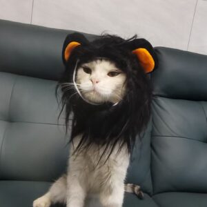 Cat Costume Cute Lion Mane Cat Wig Hat Cosplay Clothes Cap Dress Up Puppy Kitten Halloween Christmas Party Decoration Supplies