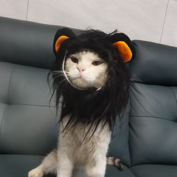 Cat Costume Cute Lion Mane Cat Wig Hat Cosplay Clothes Cap Dress Up Puppy Kitten Halloween Christmas Party Decoration Supplies
