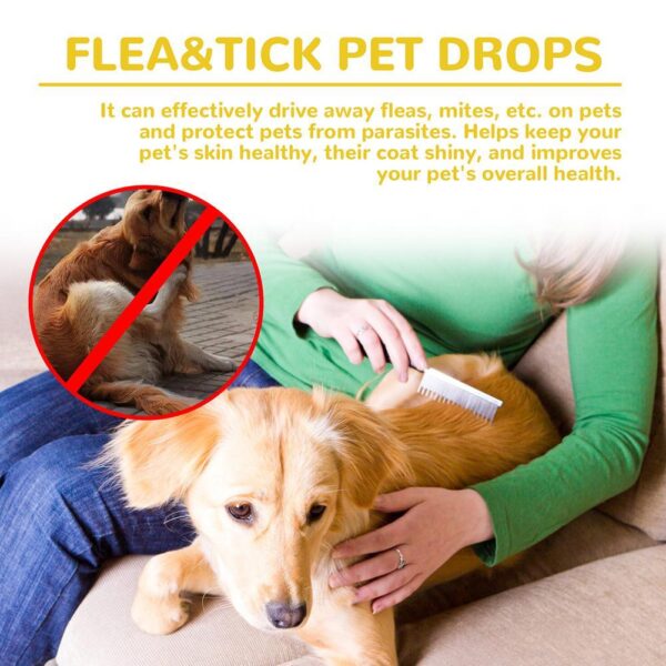 1pcs Dogs And Cats Anti Flea Drops Lice Remove Relieve Supplies Repellent Treatment Insect External Drops Itching Pet Tick T9e2 - Image 5