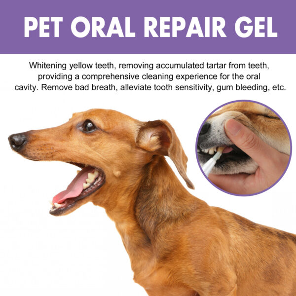 Pet Oral Repair Gel Deep Cleaning Dog Cat Teeth Stain Whitening Teeth Tartar Removing Bad Breath Oral Cleaning Care - Image 3