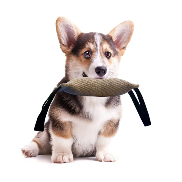 Dog Training Hemp Bite Stick Diao Bites Picks Molars Dog Bite Stick Bite Pillow Durable Twill Jute Pet Supplies Interactive Toys - Image 2