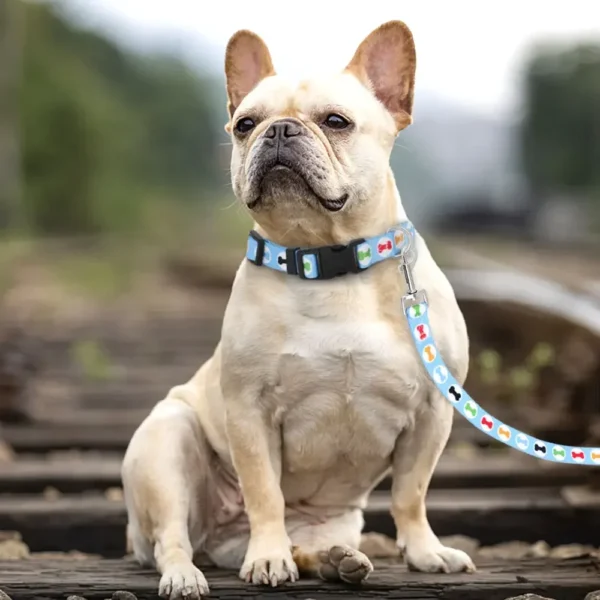 Nylon Cute Puppy Dog Collar Leash Set Adjustable Flower Cat Collars Walking Leashes For Small Medium Pets XS S M - Image 5