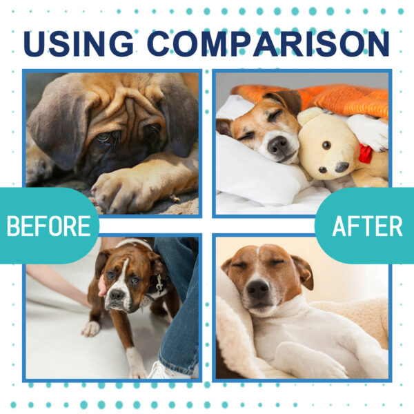 Dog Calming Liquid Noise Reduction Anti Anxiety Relieve Emotions Stress Prevent Howling Fighting Soothing Cat Calming Diffuser - Image 4