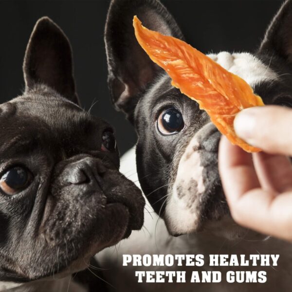 Chicken Jerky Dog Treats 1.5 Lb Human Grade Pet Snacks Grain Free Organic Meat All Natural High Protein Dried Strips Best Chews - Image 4