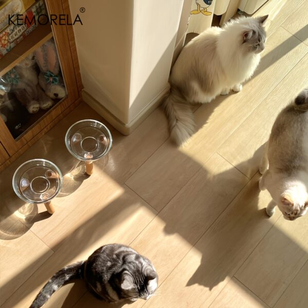 KEMORELA Elevated Pet Tilted Food Bowl Water Bowl Transparent Plastic Cat Bowl For Protecting Pet Cervical Vertebra Removable - Image 2