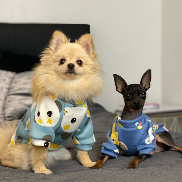 Xs Dog Clothes for Small Dogs Girl Puppy Clothing for Small Dogs Boy Cat Jacket Personalise Pet Shirts for Pug Chihuahua Bulldog - Image 2