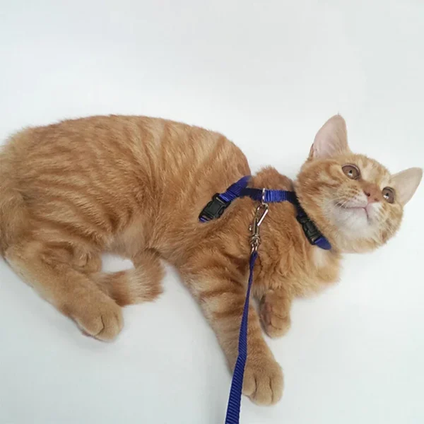 New Cat Collar Harness Leash Adjustable Nylon Pet Traction Cat Kitten Halter Collar Puppy Dog Cat Product Small Pet Harness Belt - Image 6