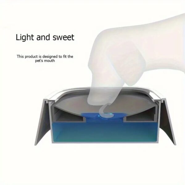 Spill-Proof Pet Water Bowl, Non-Slip Base, Floating Filter, Clear Design, No Batteries, for Dogs, Travel - Image 4