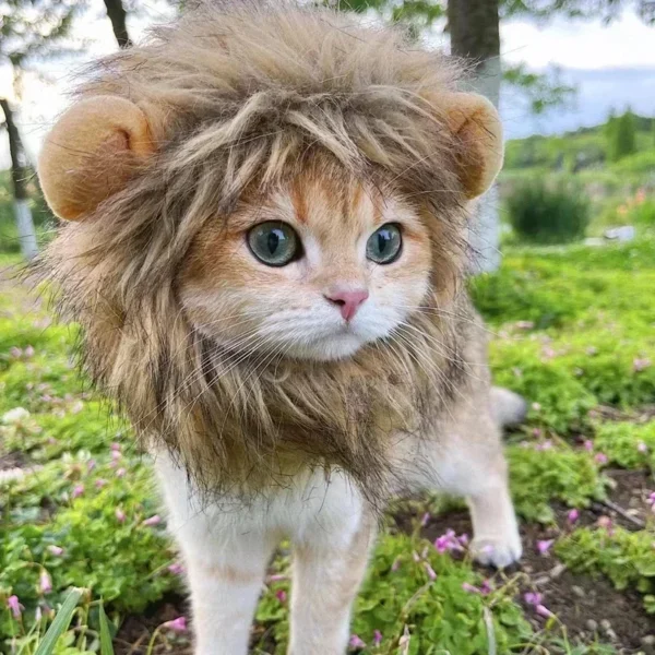 Cat Cosplay Dress Up Pet Hat Lion Mane for Cat Puppy Lion Wig Costume Party Decoration Halloween Christmas GatosPet Supplies - Image 2