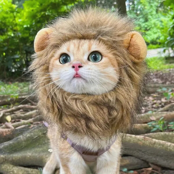 Cat Lion Mane Halloween Costume for Cats Lion Costume for Small Dogs Cats and Kitten Outfits for Halloween Christmas Pet Clothes - Image 4