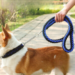Nylon Dog Collar Leash Set Colored Woven Traction Rope Adjustable Dog Collars for Dogs Training and Walking