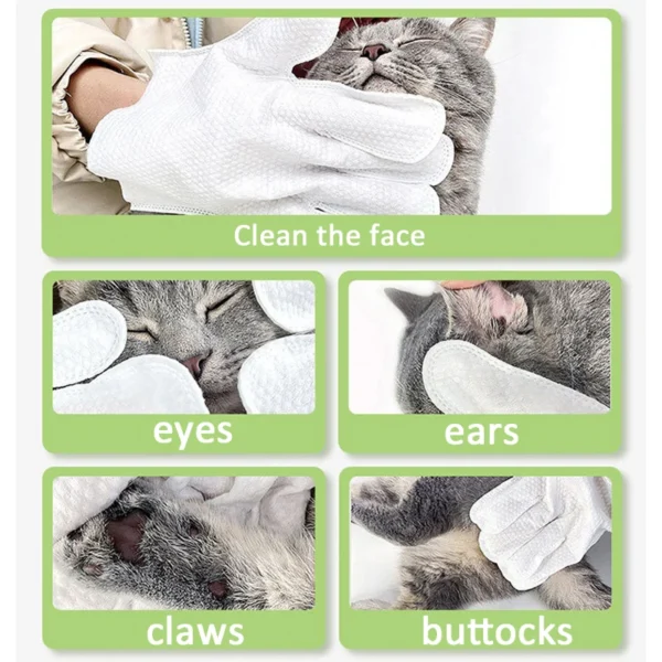 A Bag of 6ps Pet Wash Free Cleaning Gloves Cat and Dog Hair Cleaning Gloves Dry Cleaning Wipes Pet Shop Tudo Para Caes - Image 6