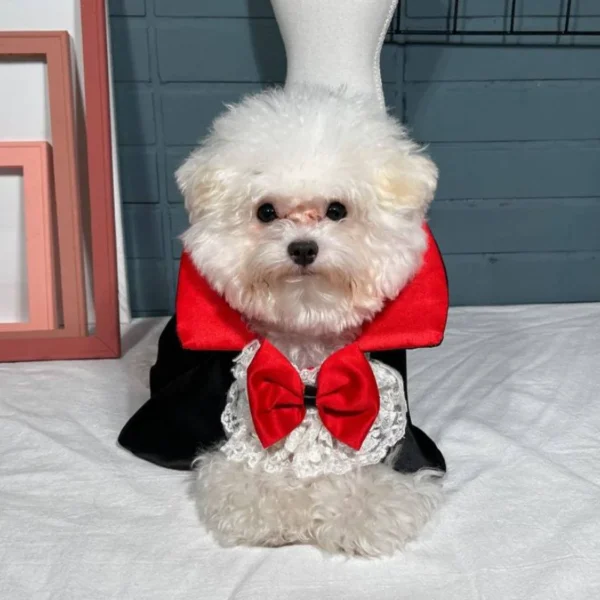 Halloween Pet Cosplay Vampire Cloak for Small Medium Dog Cat Puppy Costumes Kawaii Pet Christmas Festival Outfits - Image 5