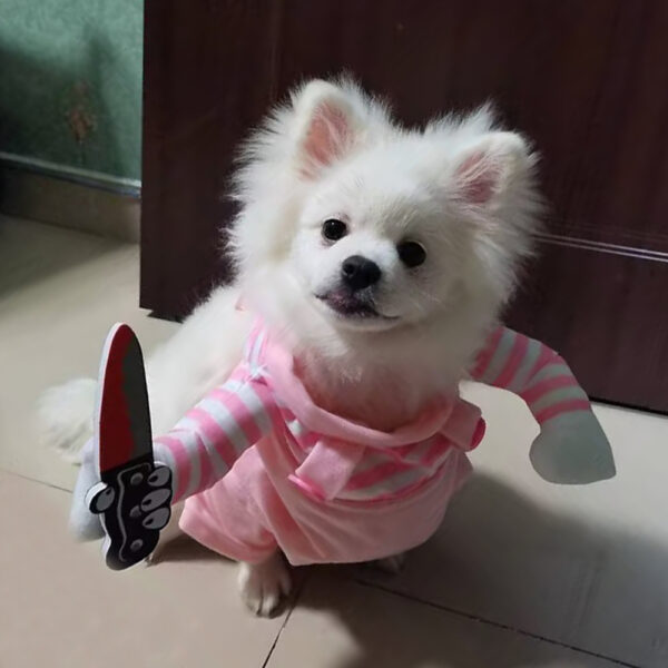 Cute Pet Cats Halloween Costume For Small Medium Large Dogs Funny Puppy Kitten Cosplay Clothes Chihuahua Sphynx Cat Dress Up - Image 3