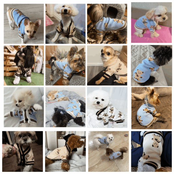 Luxury Dog Clothes Chihuahua Pet Striped Cardigan Sweater Bichon Frise Puppy Kitten Dog Warm Coat Cat Dog Accessories Pet Outfit - Image 2