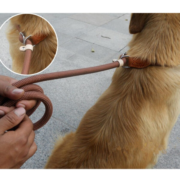 Dog training collar anti riot nylon hand P rope extended thickened unbreakable hand training dog round rope large dog P chain - Image 3