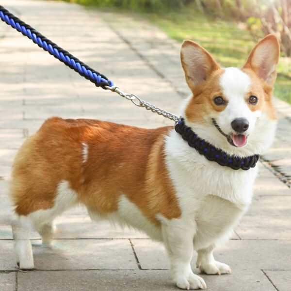 Nylon Dog Collar Leash Set Colored Woven Traction Rope Adjustable Dog Collars for Dogs Training and Walking - Image 3