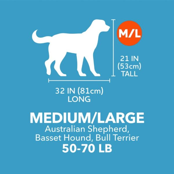 Vibrant Life Pet Kennel Medium 36" Dog Crate, Plastic Travel Pet Carrier for Pets 50-70 lb, Grey - Image 5