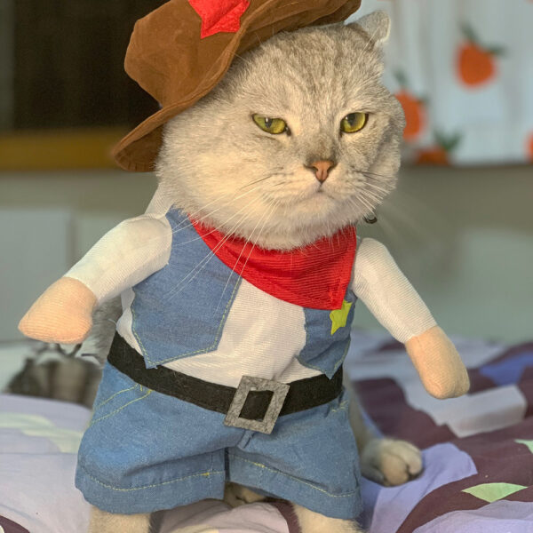 Funny Pet Cat Cosplay Costumes for Small Medium Cats Dogs Party Dressed Up Kitten Halloween Cozy Novelty Clothing Bulldog French - Image 6
