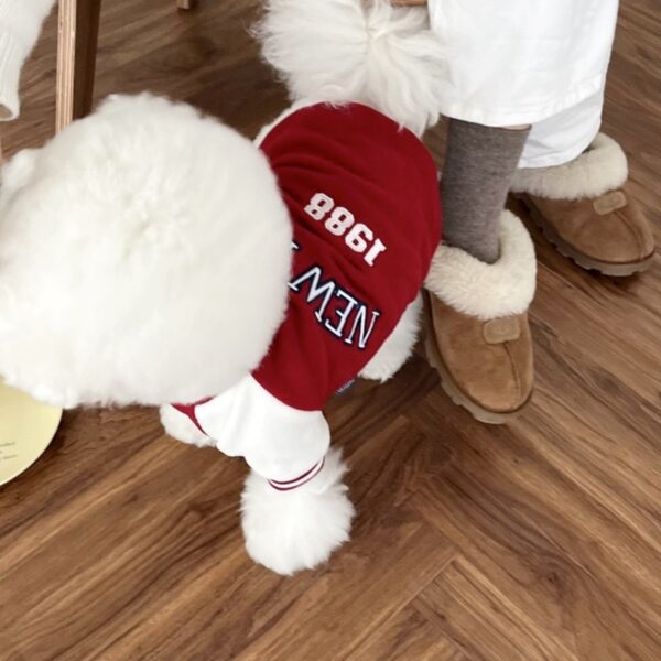 Fashion Winter Pet Baseball Clothes Suit Dog Contrasting Coat Teddy Bear Universal Small Dog Clothes Design Puppy Clothing - Image 4